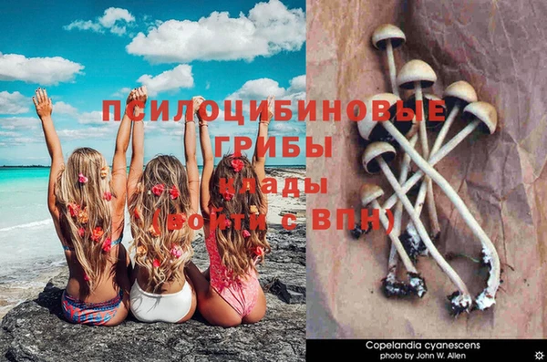 ешки Верея