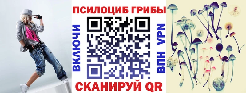 Галлюциногенные грибы Magic Shrooms  Купить  Высоковск 
